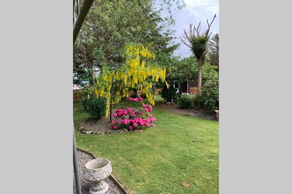Snowdonia Cabin 卡纳芬 外观 照片