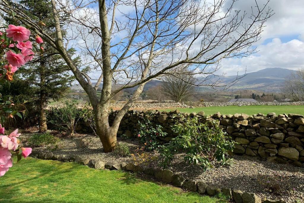 Snowdonia Cabin 卡纳芬 外观 照片