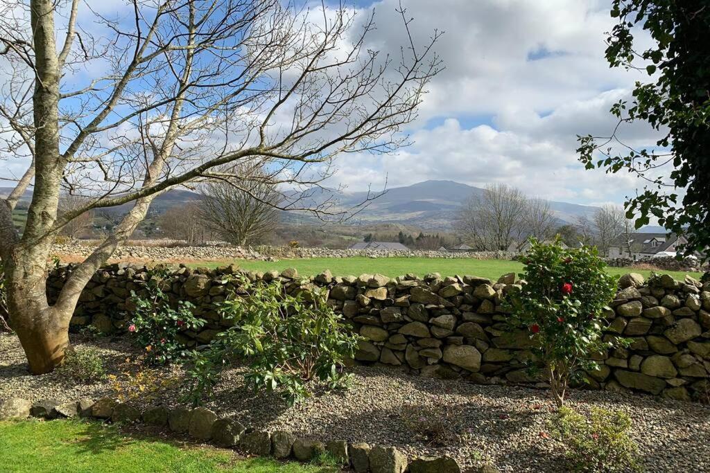 Snowdonia Cabin 卡纳芬 外观 照片