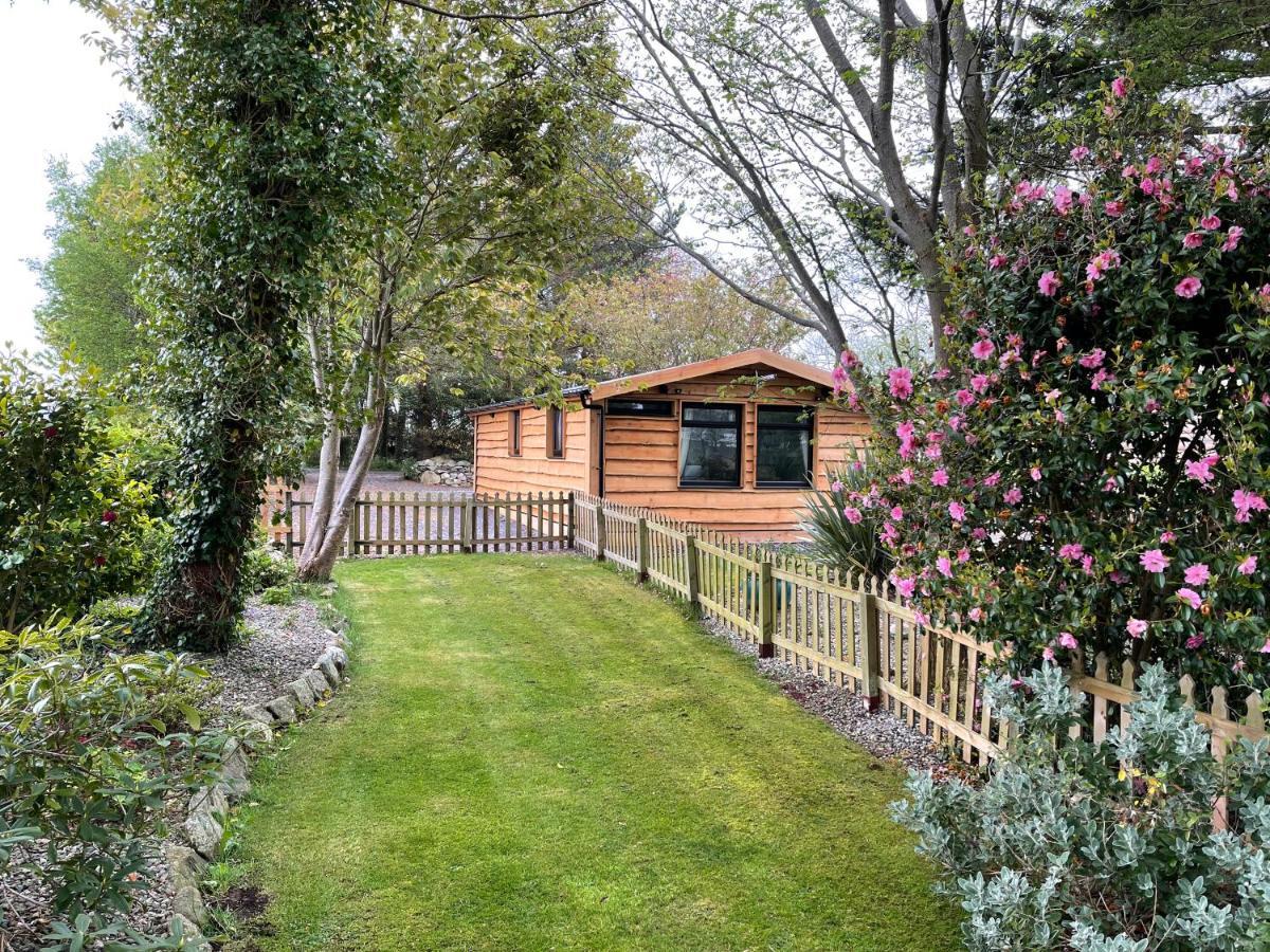 Snowdonia Cabin 卡纳芬 外观 照片
