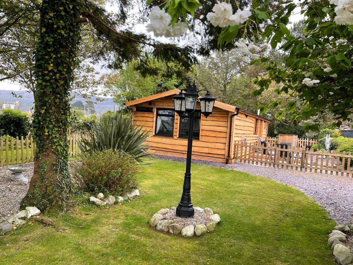 Snowdonia Cabin 卡纳芬 外观 照片