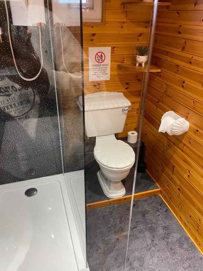Snowdonia Cabin 卡纳芬 外观 照片