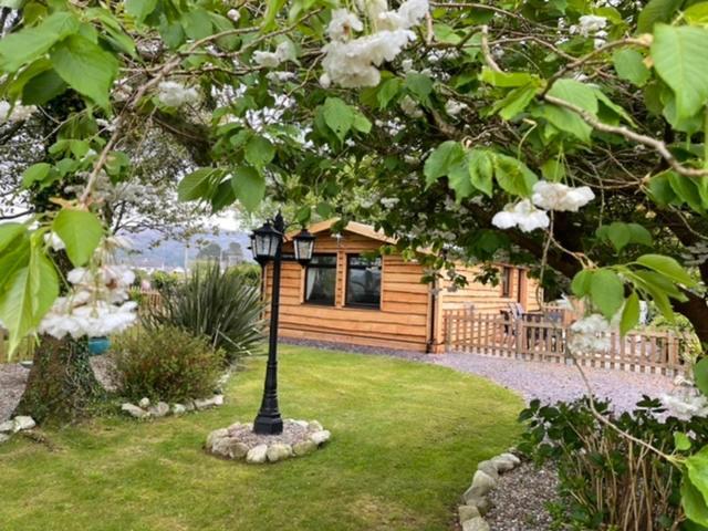 Snowdonia Cabin 卡纳芬 外观 照片